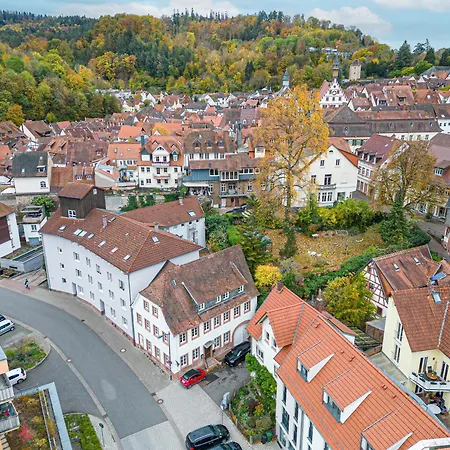 Lit Living Weinheim Altstadt - Boutique Apartments - Parking Exterior foto