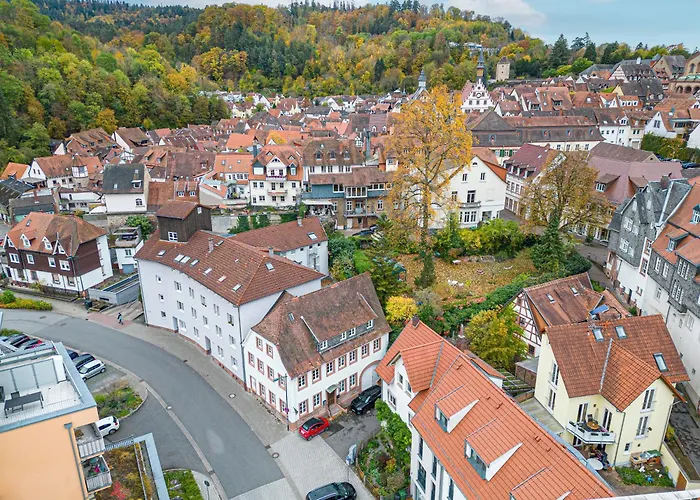 Lit Living Weinheim Altstadt - Boutique Apartments - Parking