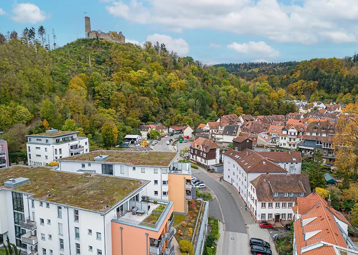 Lit Living Weinheim Altstadt - Boutique Apartments - Parking