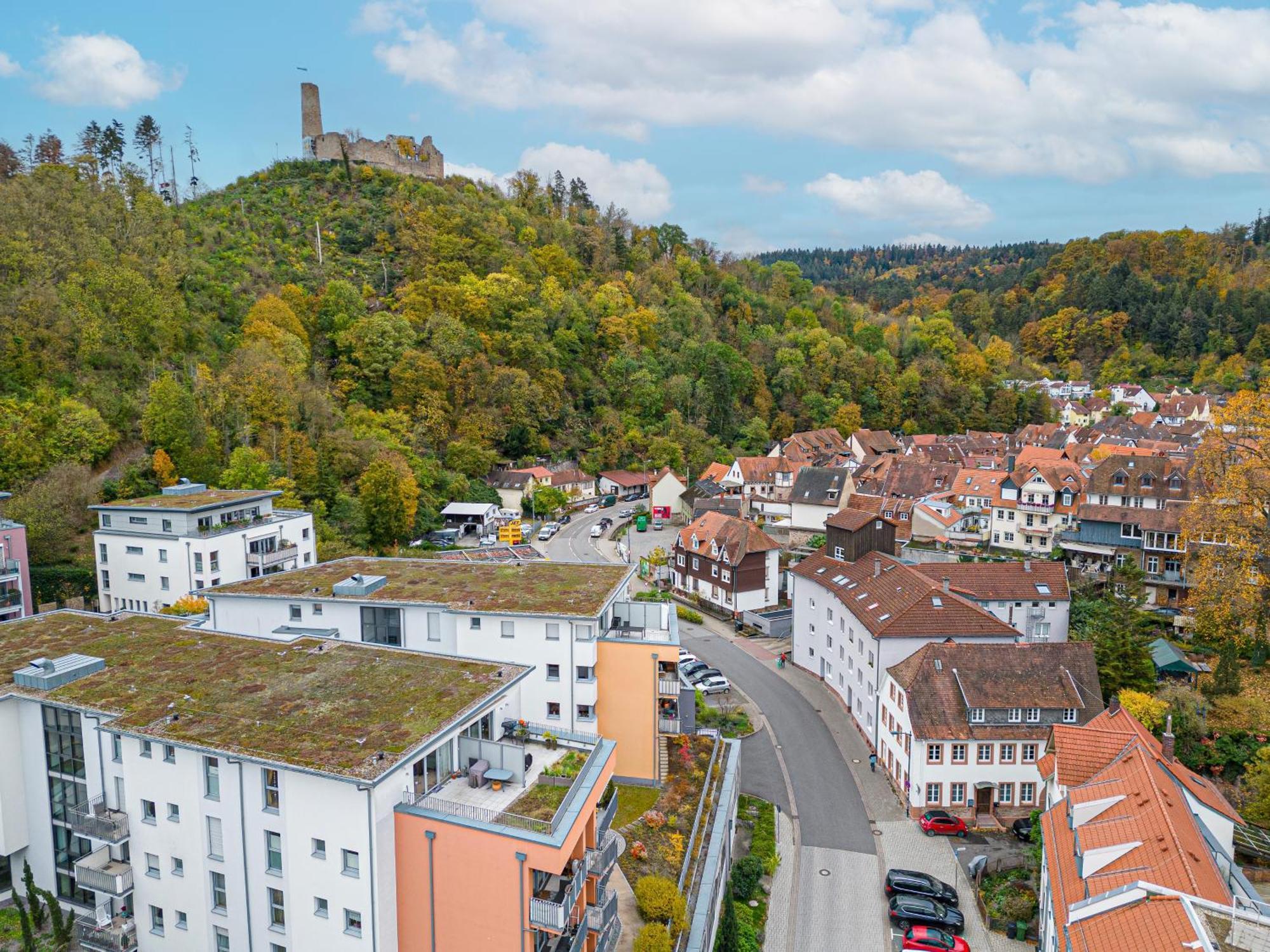 Lit Living Altstadt - Boutique - Parking Apartment Weinheim